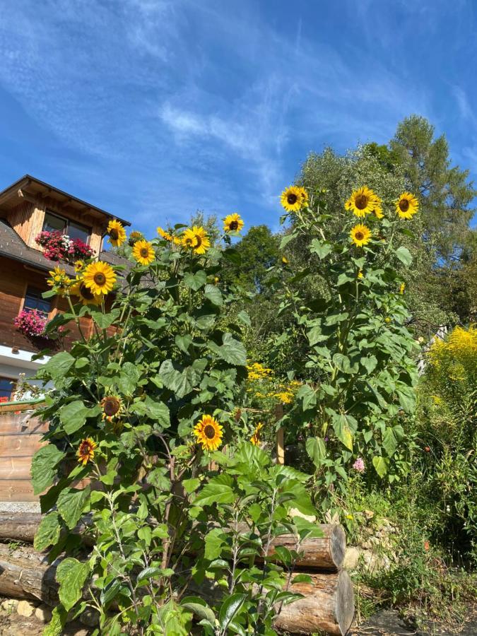 Apartmán Bergruhe Sankt Ruprecht ob Murau Exteriér fotografie