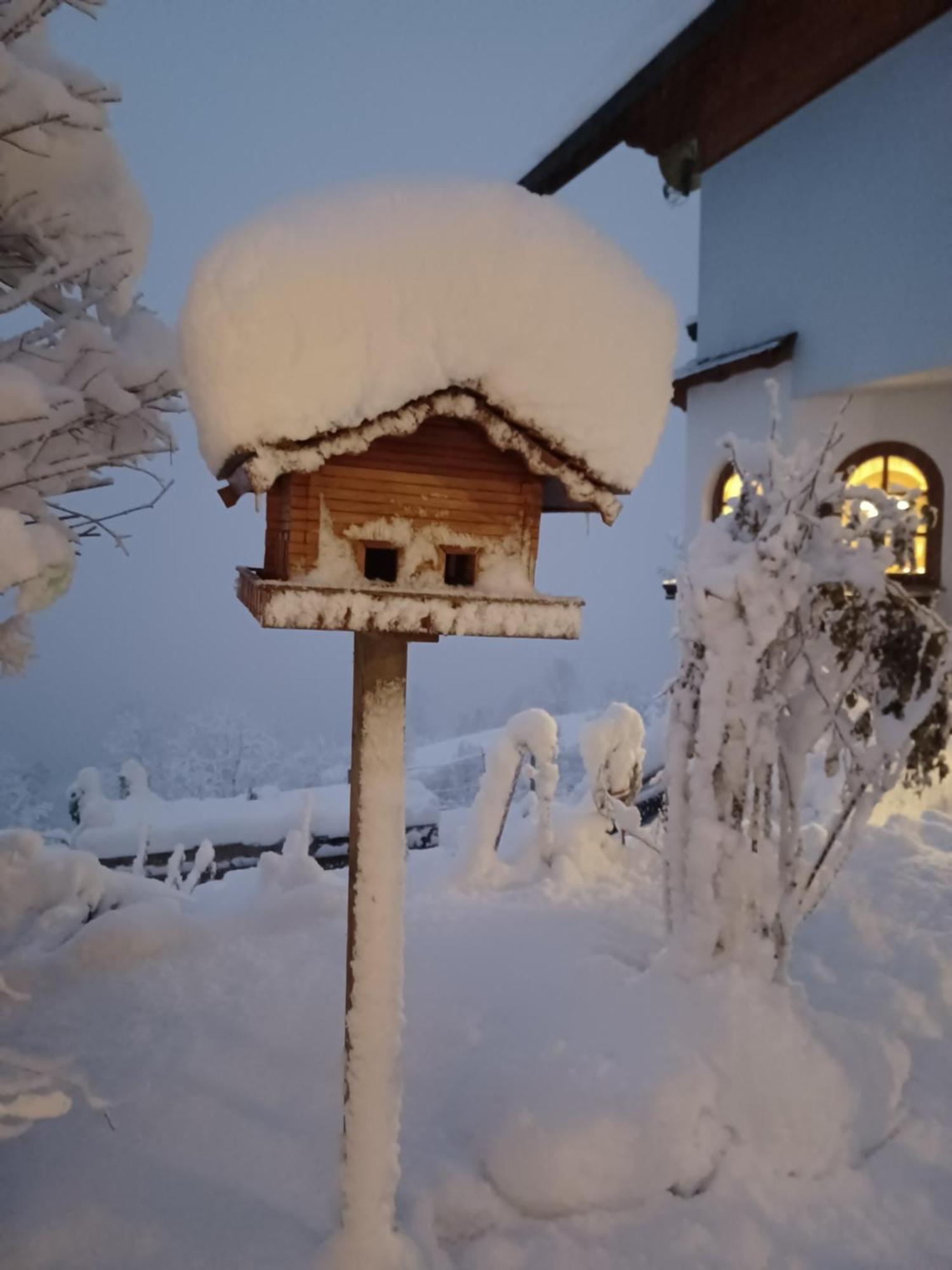 Apartmán Bergruhe Sankt Ruprecht ob Murau Exteriér fotografie